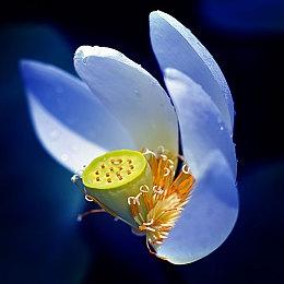 任天堂神秘测试项目被曝光：一款建造类MMO游戏 10月23日开测